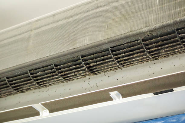 Best Affordable Air Duct Cleaning  in Middletown, DE